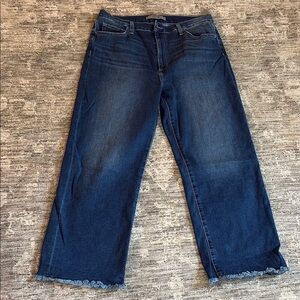 Joes Jeans - Women's Blue Jeans - high rise fraya - size 32 - fray hem